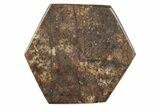 Stony Chondrite Cabochon ( grams) - Meteorite #238184-1